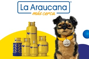 Pensionados de La Araucana pueden recibir hasta $5.000 de descuento en Lipigas