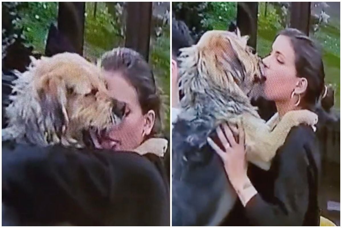 Página internacional compartió video del controversial beso de Constanza a  Bigote generando fuertes reacciones