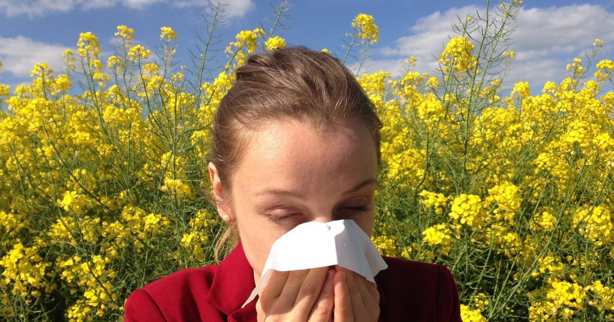 Does spring come early? Here’s how to prevent allergies and recognize their symptoms – En Cancha
