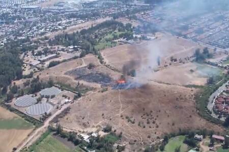 VIDEOS | Reportan voraz incendio forestal en Puente Alto