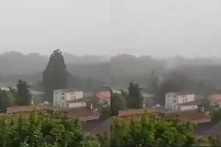 VIDEO | Rayo impacta y destruye árbol de 33 metros en Francia 