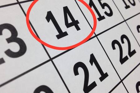 ¿Cuáles son los feriados que tendrá el mes de marzo?