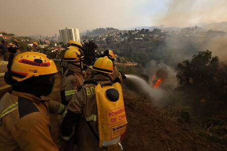 Incendios forestales: Gobierno Nacional elevó cifra de fallecidos a 51