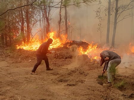 Más de 10 personas han sido detenidas por presunta responsabilidad en incendios forestales