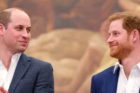 Príncipe Harry y príncipe William nuevamente unidos en honor a Lady Di