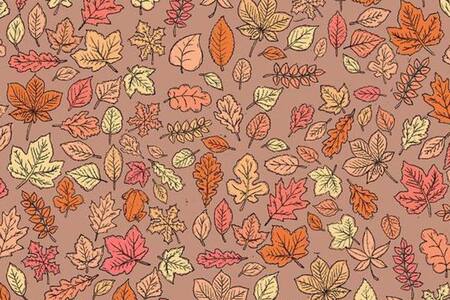 Acertijo visual: Ubica al sapo entre las hojas de otoño, tienes 12 segundos