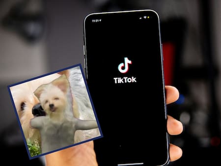 Nuevo trend de TikTok: ¿Cómo convertir una foto en un video bailarín utilizando inteligencia artificial?