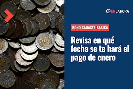 Bono Canasta Básica: ¿Cuándo se hará el pago de enero y qué monto se entrega?