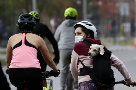 Ley de Convivencia Vial: anuncian nuevo reglamento para ciclistas y traslado de mascotas
