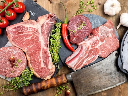 ¿Es realmente recomendable la dieta carnívora?: Expertos de Harvard responden
