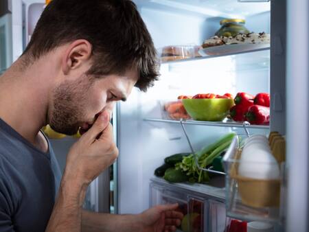 ¿Cómo quitar o prevenir los malos olores en tu refrigerador con productos caseros?