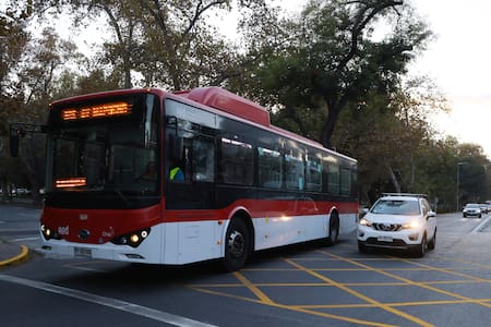 Elecciones Primarias: Estos son los recorridos de buses que reforzarán sus servicios este domingo