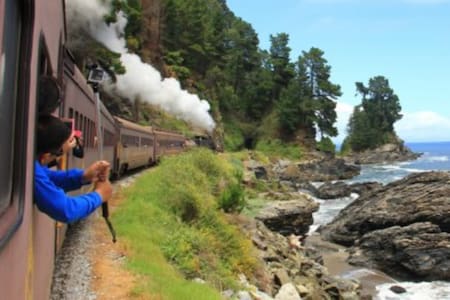 Viaja en el Tren del Recuerdo estas vacaciones de invierno y ten una experiencia increíble: Revisa los precios