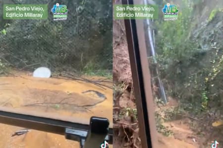 VIDEO | Impactantes imágenes desde edificio en San Pedro de La Paz que tuvo que ser evacuado por derrumbe