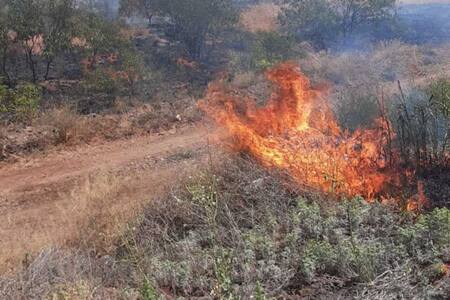 VIDEO | Decretan Alerta Roja en Peñaflor por incendio forestal cercano a viviendas 