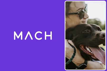 MACH ofrece un 30% de descuento en esta tienda de mascotas: Conoce cómo obtenerlo