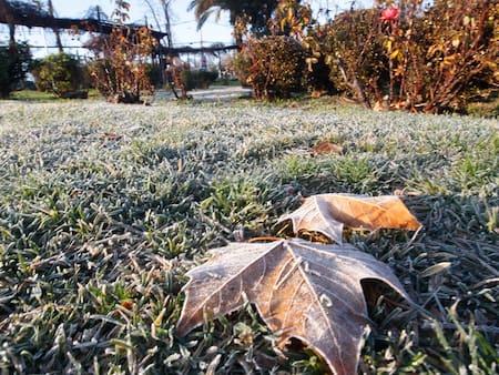 Pronostican heladas de hasta -8 grados para este fin de semana: Estas regiones se verán afectadas