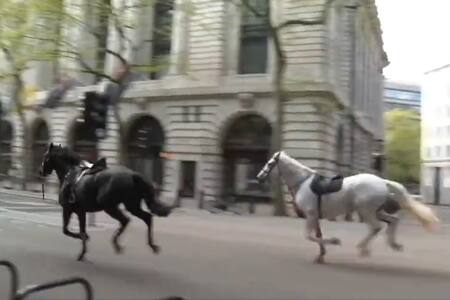 VIDEO | Así se vivió la peligrosa estampida de caballos en pleno centro de Londres